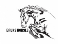   Bruns Horses